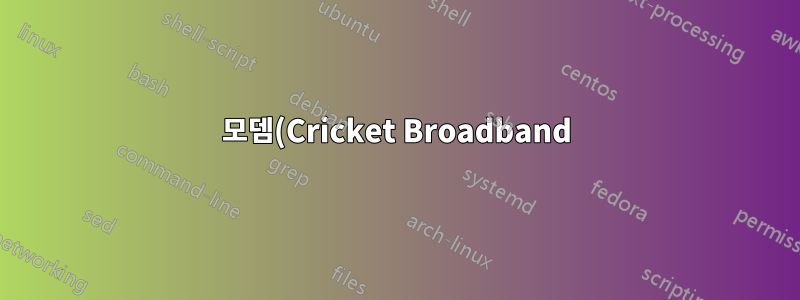 모뎀(Cricket Broadband)을 라우터(Netgear g54)에 어떻게 연결합니까?