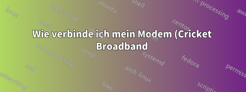 Wie verbinde ich mein Modem (Cricket Broadband) mit meinem Router (Netgear g54)?