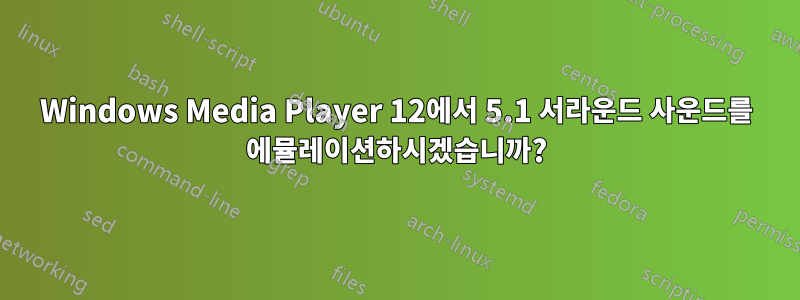 Windows Media Player 12에서 5.1 서라운드 사운드를 에뮬레이션하시겠습니까?