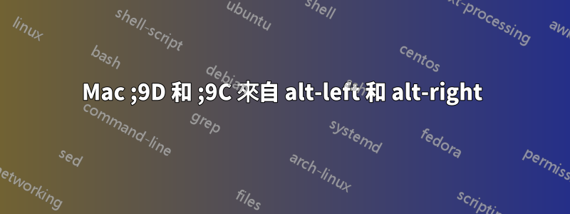 Mac ;9D 和 ;9C 來自 alt-left 和 alt-right