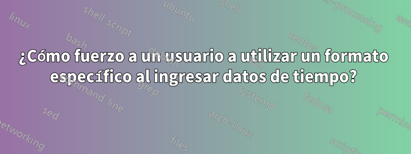 ¿Cómo fuerzo a un usuario a utilizar un formato específico al ingresar datos de tiempo?