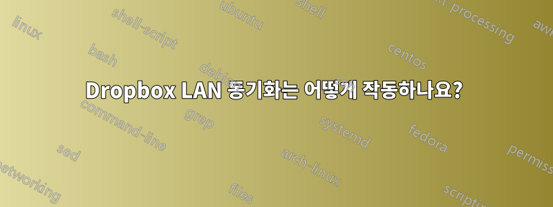 Dropbox LAN 동기화는 어떻게 작동하나요?