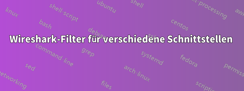 Wireshark-Filter für verschiedene Schnittstellen