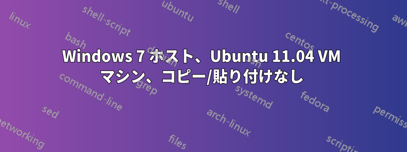 Windows 7 ホスト、Ubuntu 11.04 VM マシン、コピー/貼り付けなし