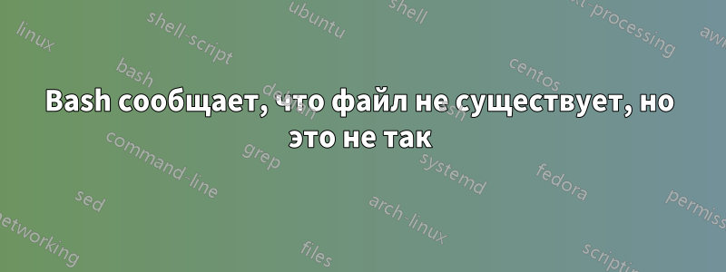 Bash сообщает, что файл не существует, но это не так