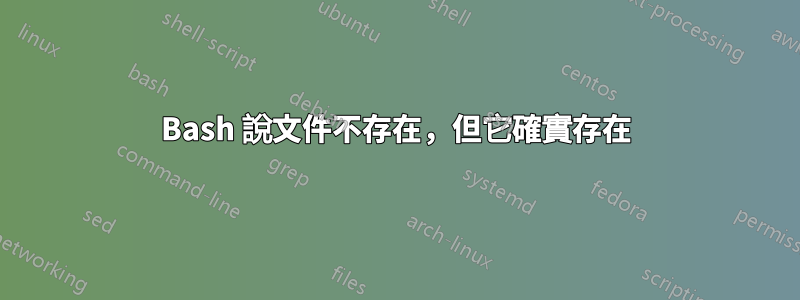 Bash 說文件不存在，但它確實存在