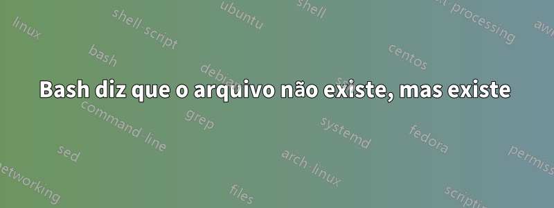 Bash diz que o arquivo não existe, mas existe