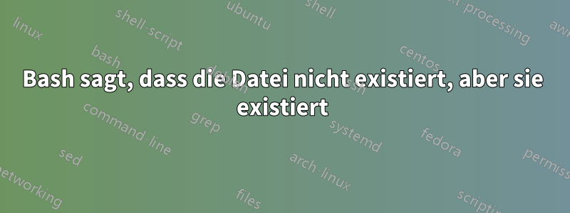 Bash sagt, dass die Datei nicht existiert, aber sie existiert