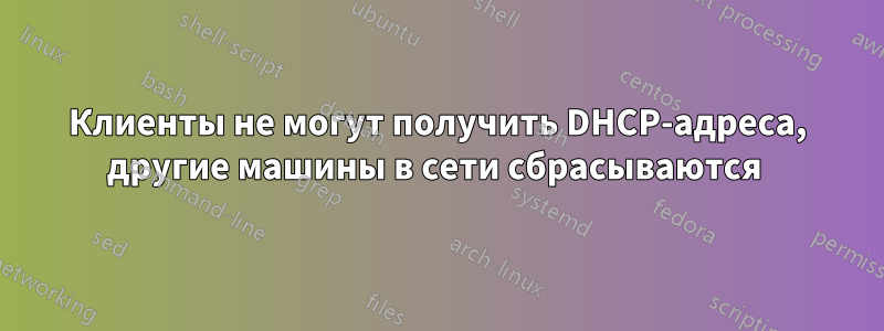 Клиенты не могут получить DHCP-адреса, другие машины в сети сбрасываются 