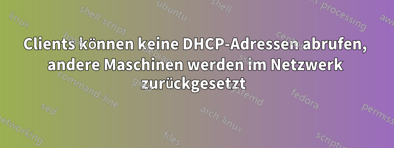 Clients können keine DHCP-Adressen abrufen, andere Maschinen werden im Netzwerk zurückgesetzt 