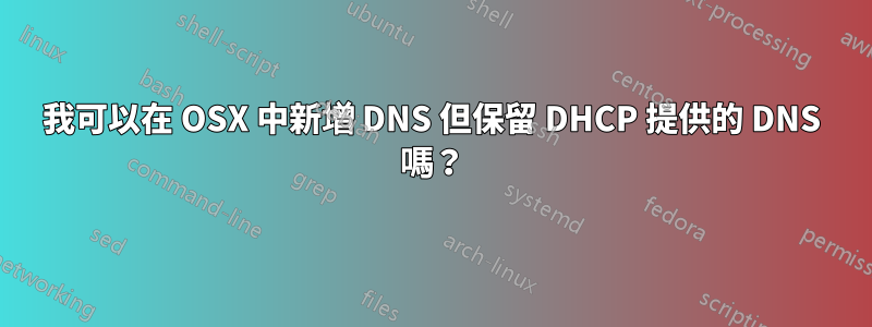 我可以在 OSX 中新增 DNS 但保留 DHCP 提供的 DNS 嗎？