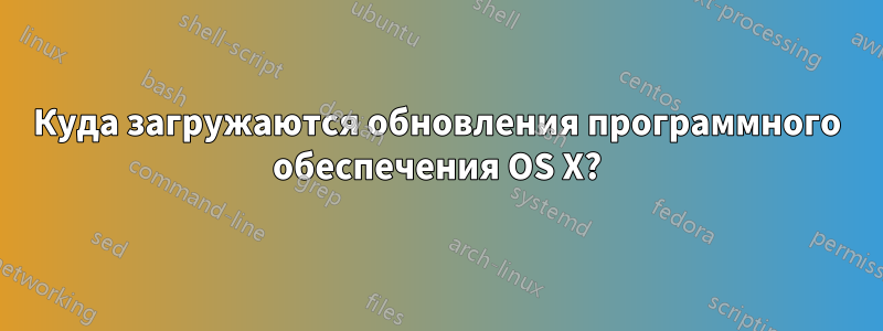 Куда загружаются обновления программного обеспечения OS X?