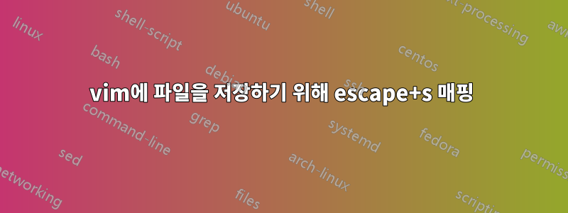 vim에 파일을 저장하기 위해 escape+s 매핑