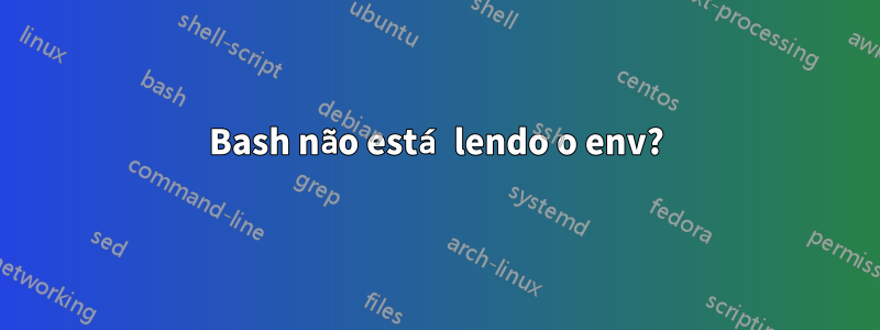 Bash não está lendo o env?