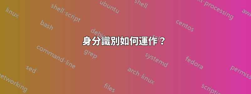 身分識別如何運作？