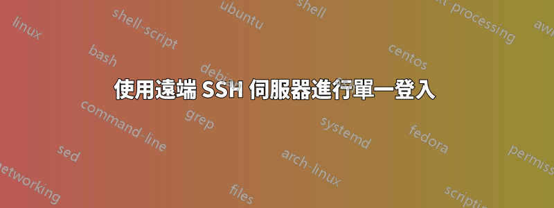 使用遠端 SSH 伺服器進行單一登入