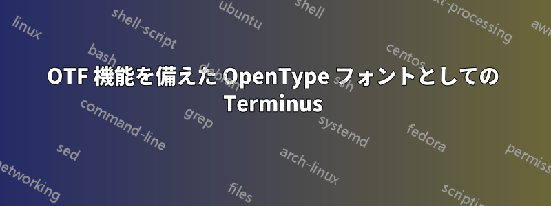 OTF 機能を備えた OpenType フォントとしての Terminus