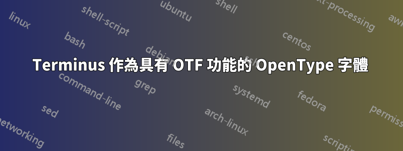 Terminus 作為具有 OTF 功能的 OpenType 字體