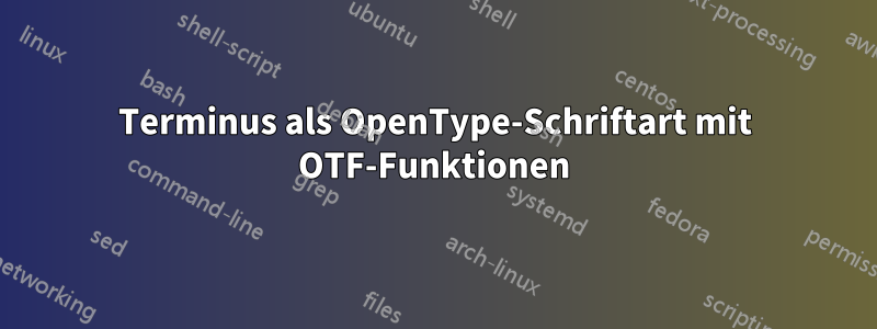 Terminus als OpenType-Schriftart mit OTF-Funktionen