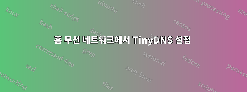 홈 무선 네트워크에서 TinyDNS 설정