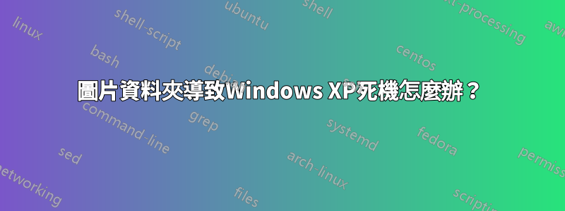 圖片資料夾導致Windows XP死機怎麼辦？