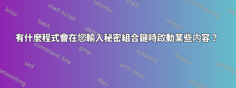 有什麼程式會在您輸入秘密組合鍵時啟動某些內容？