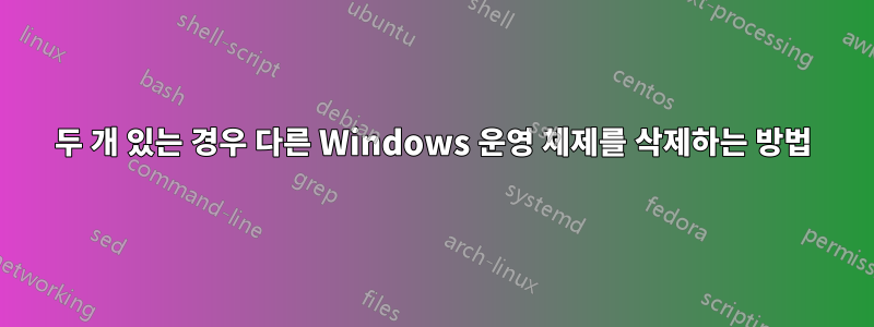 두 개 있는 경우 다른 Windows 운영 체제를 삭제하는 방법