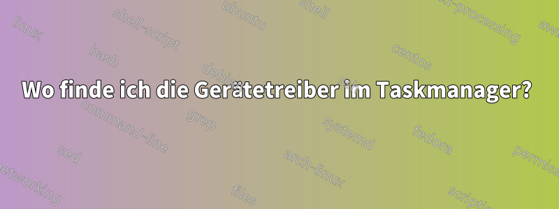 Wo finde ich die Gerätetreiber im Taskmanager?