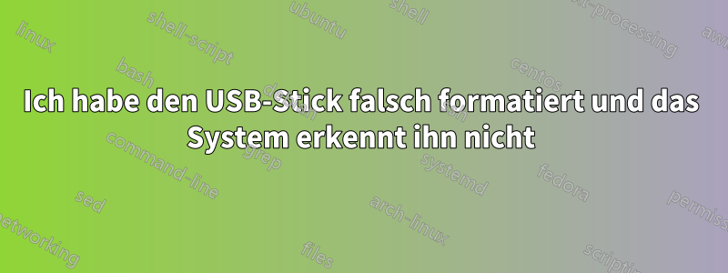 Ich habe den USB-Stick falsch formatiert und das System erkennt ihn nicht