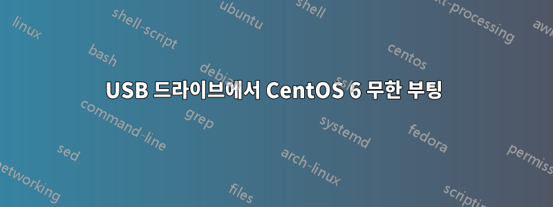 USB 드라이브에서 CentOS 6 무한 부팅