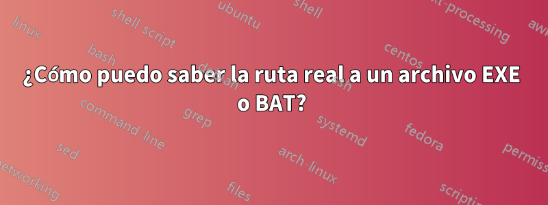 ¿Cómo puedo saber la ruta real a un archivo EXE o BAT?