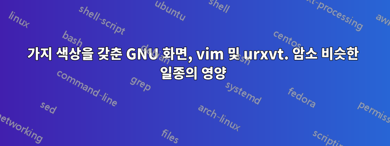 256가지 색상을 갖춘 GNU 화면, vim 및 urxvt. 암소 비슷한 일종의 영양