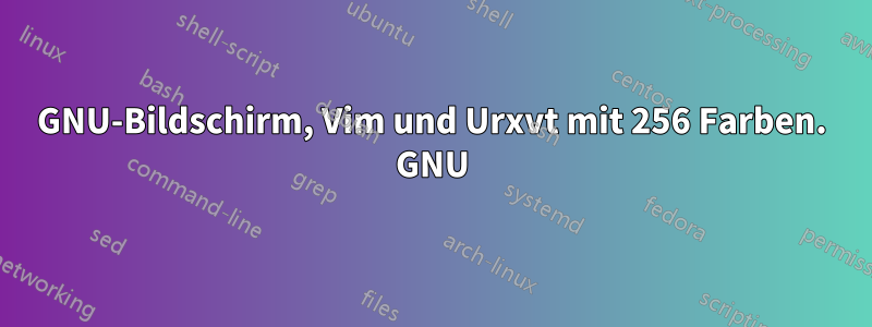 GNU-Bildschirm, Vim und Urxvt mit 256 Farben. GNU