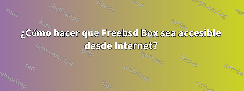 ¿Cómo hacer que Freebsd Box sea accesible desde Internet?