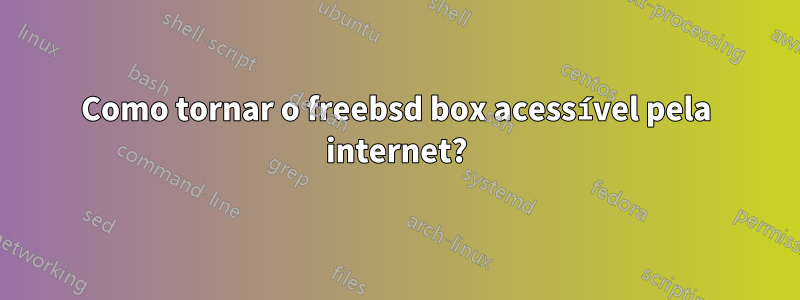 Como tornar o freebsd box acessível pela internet?