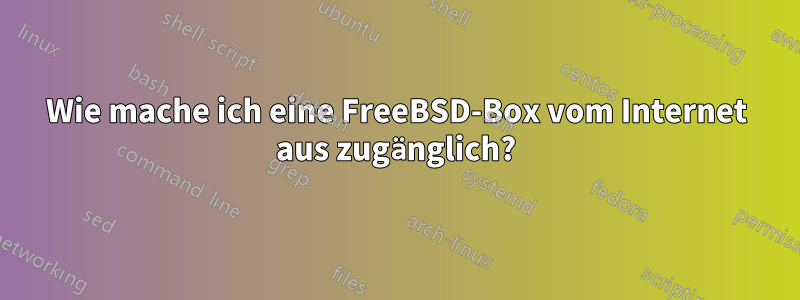 Wie mache ich eine FreeBSD-Box vom Internet aus zugänglich?