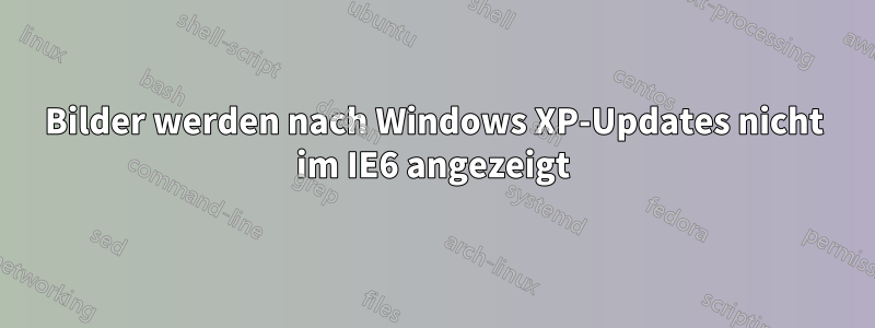 Bilder werden nach Windows XP-Updates nicht im IE6 angezeigt