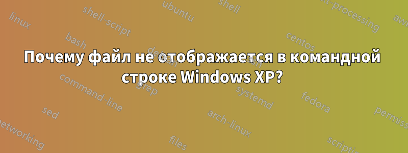 Почему файл не отображается в командной строке Windows XP?