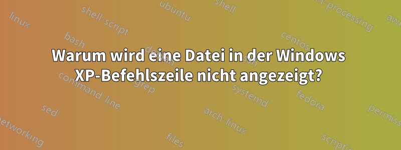 Warum wird eine Datei in der Windows XP-Befehlszeile nicht angezeigt?