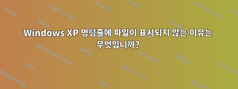Windows XP 명령줄에 파일이 표시되지 않는 이유는 무엇입니까?