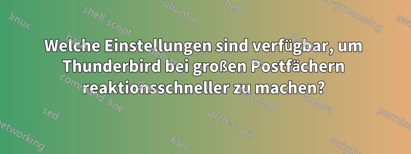 Welche Einstellungen sind verfügbar, um Thunderbird bei großen Postfächern reaktionsschneller zu machen?