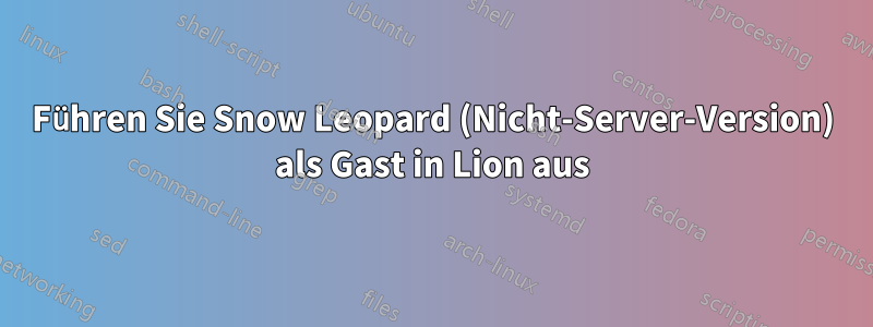 Führen Sie Snow Leopard (Nicht-Server-Version) als Gast in Lion aus