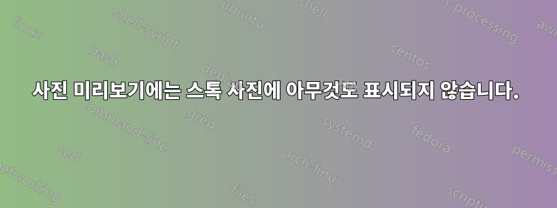 사진 미리보기에는 스톡 사진에 아무것도 표시되지 않습니다.