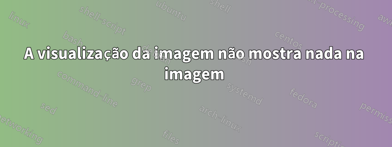 A visualização da imagem não mostra nada na imagem