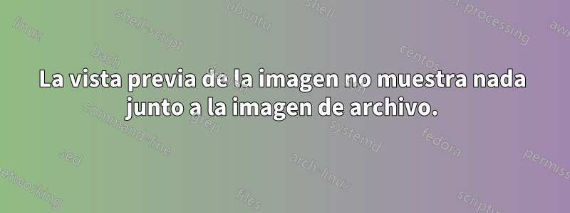 La vista previa de la imagen no muestra nada junto a la imagen de archivo.