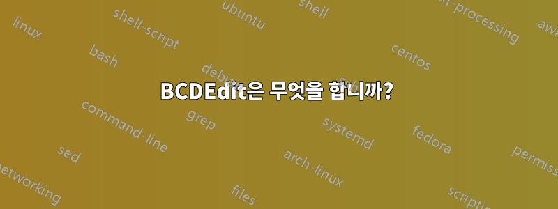 BCDEdit은 무엇을 합니까?
