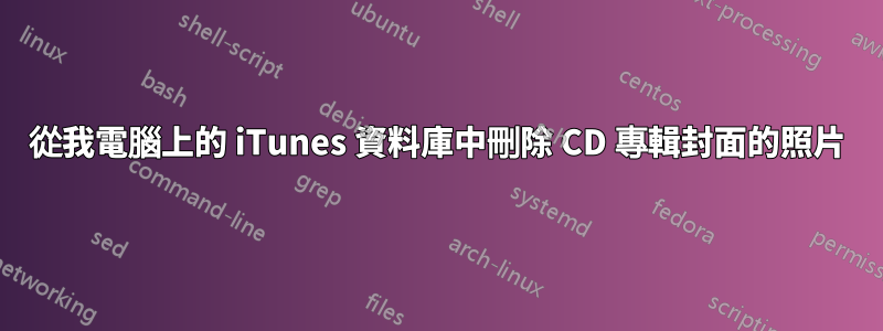 從我電腦上的 iTunes 資料庫中刪除 CD 專輯封面的照片