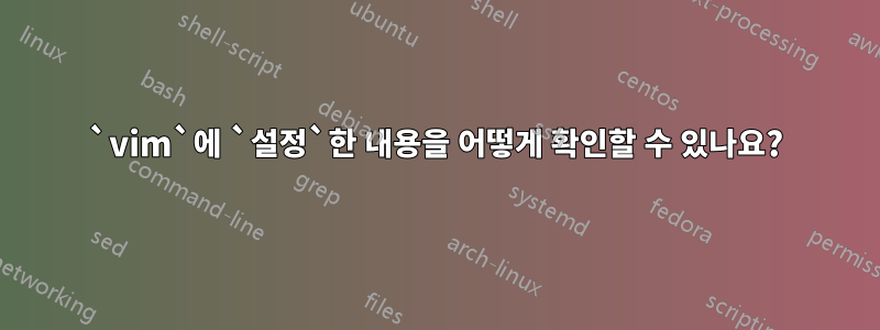 `vim`에 `설정`한 내용을 어떻게 확인할 수 있나요?