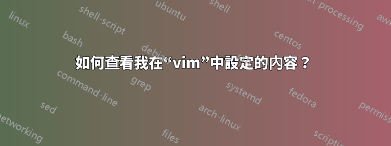 如何查看我在“vim”中設定的內容？
