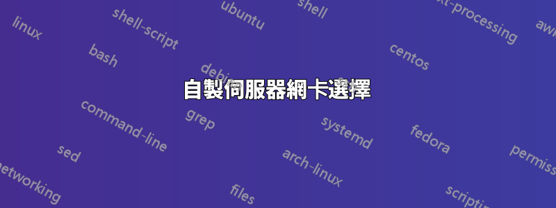 自製伺服器網卡選擇